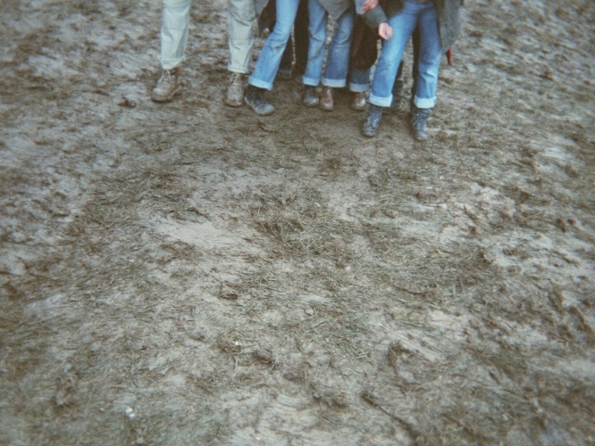 Mud by Tim Hgele