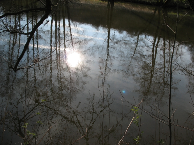 Natural mirror by Tim Hgele