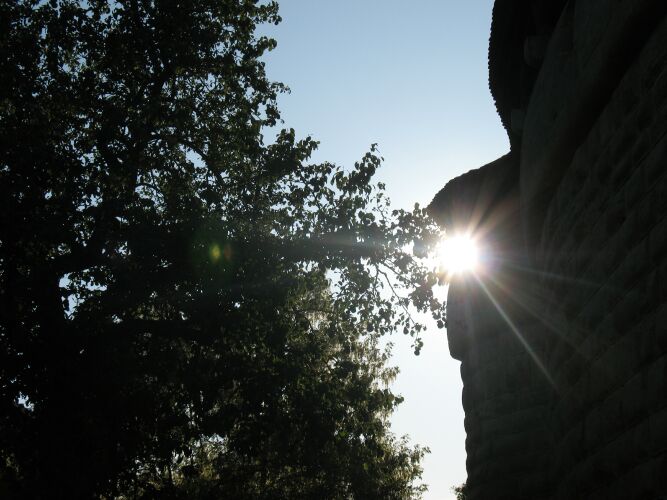 Sunbeam by Tim Hgele