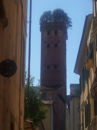 Tree on tower by Tim Hgele