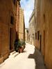 Backstreet by Tim Hgele